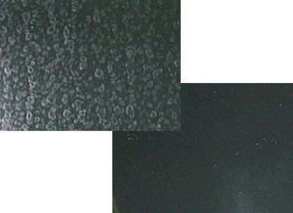 画像2: WS-01 200mlセット (2)